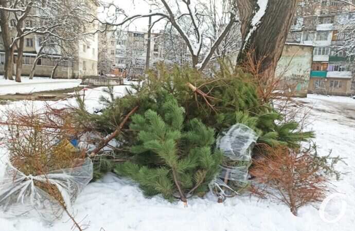 пункты елок, елки в куче