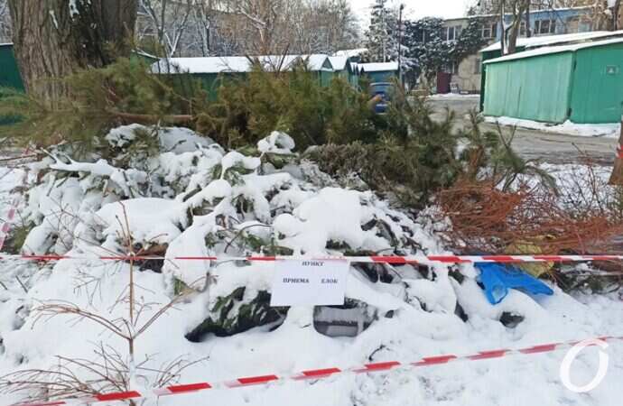 пункты елок, Черемушки