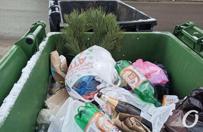 пункты елок, бак