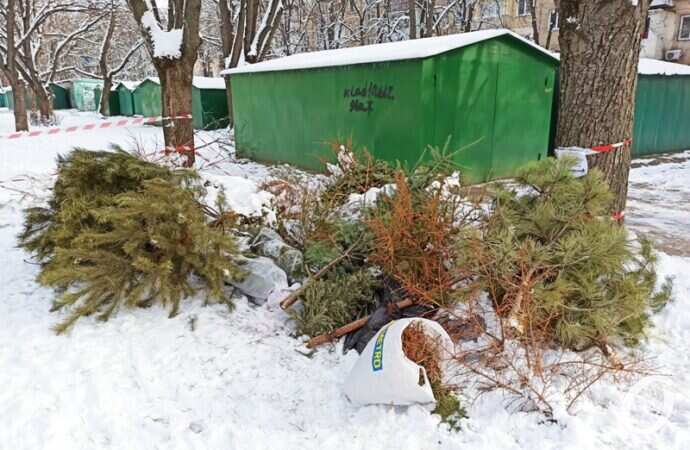 елки, пункт приема