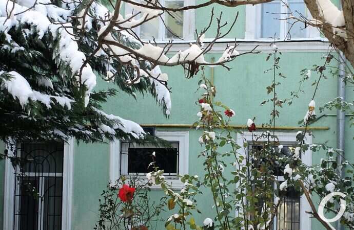 одесский двор зимой