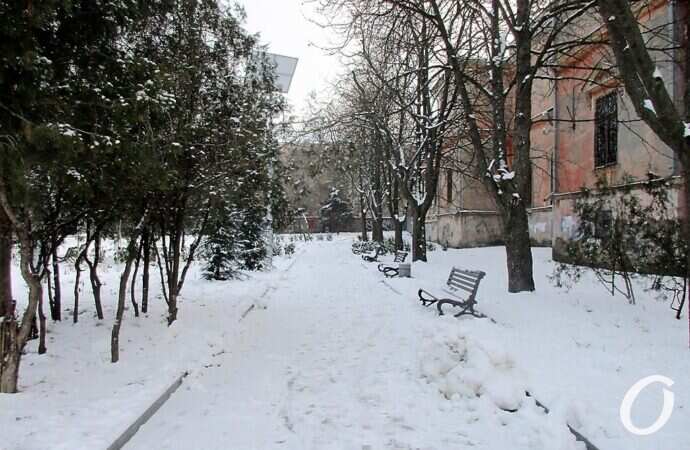 бульвар Жванецкого зимой
