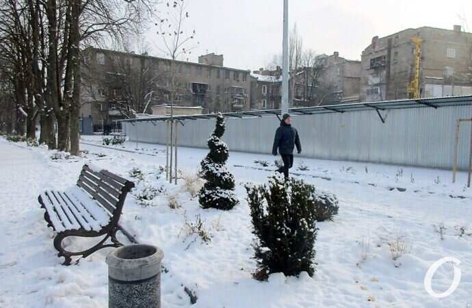 бульвар, скамейка и деревца