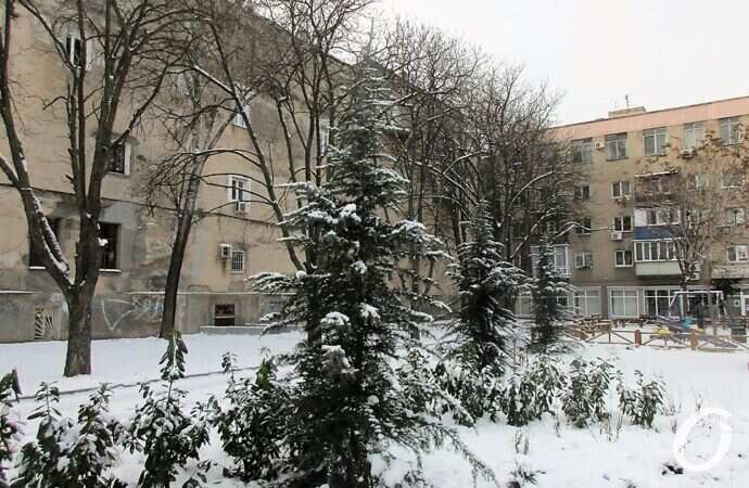 бульвар, дома, двор, деревья