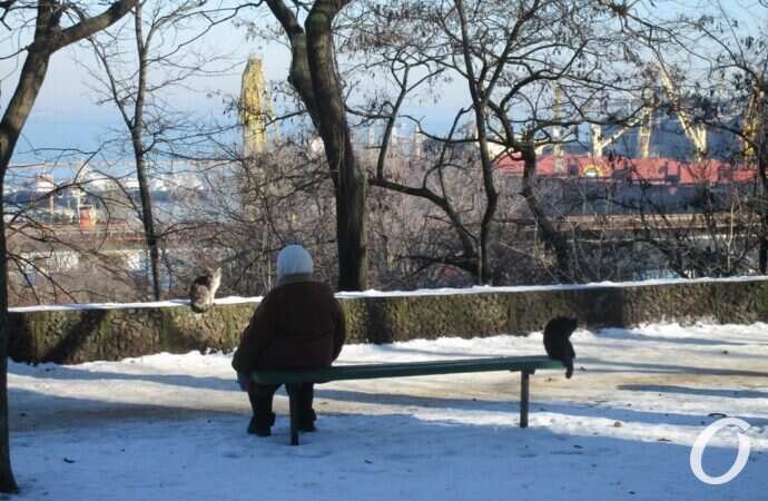 Оттепель в Одессе, бульвар Жванецкого