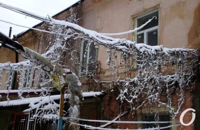 Одесские дворики зимой, окна