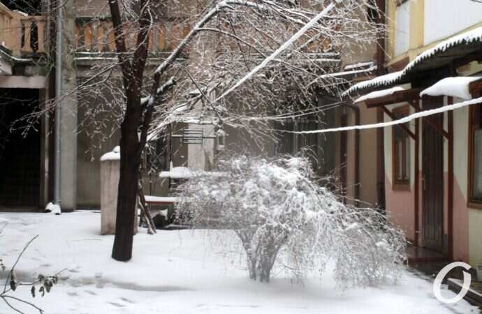 заснеженный одесский дворик
