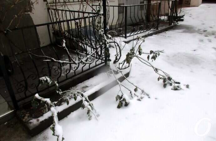 Одесские дворики зимой, ограда