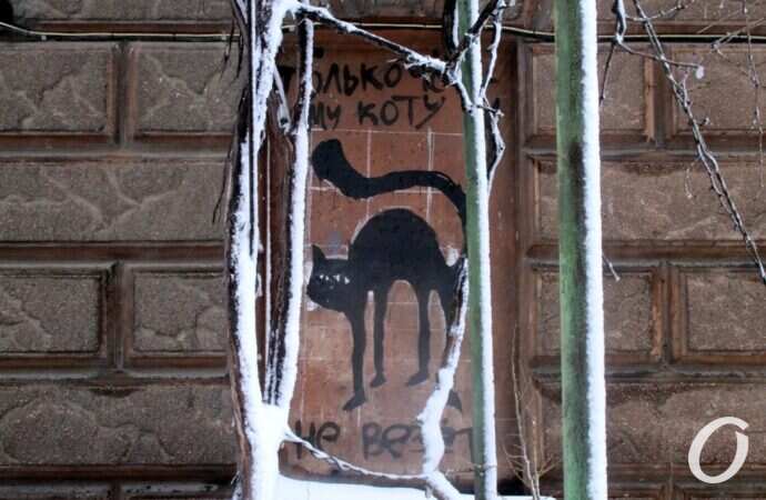 Одесские дворики зимой, черный кот