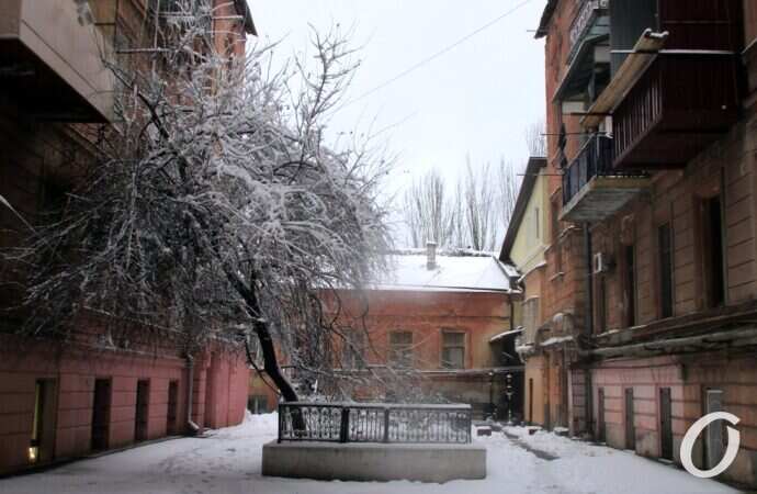 Одесские дворики зимой, дерево, ограда
