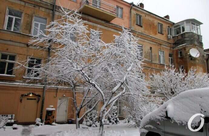 Одесские дворики зимой, ветки