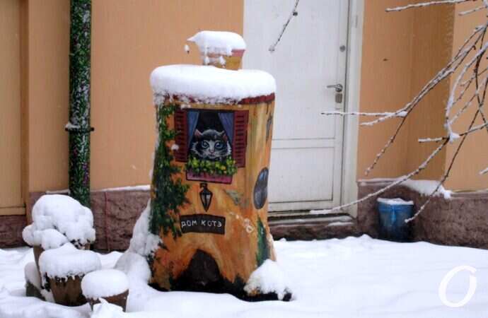 Одесские дворики зимой, кошкин дом