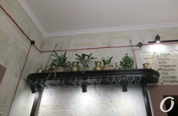 кафе-аптека, цветы