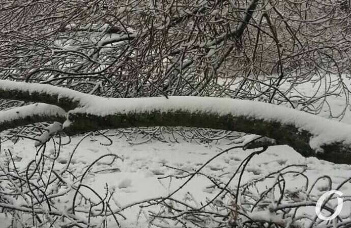 непогода, парк