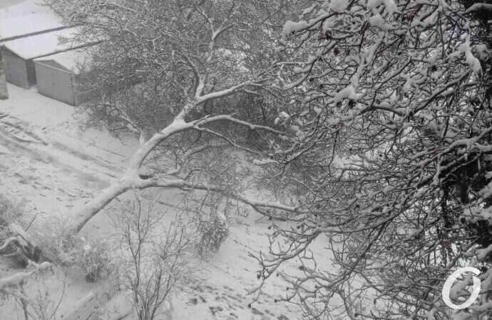 непогода, Бочарова