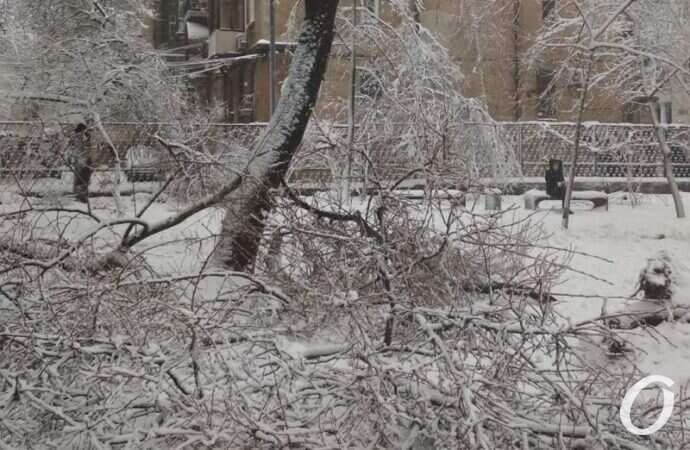 непогода, ветки во дворе