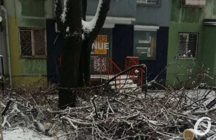 непогода, Толбухина