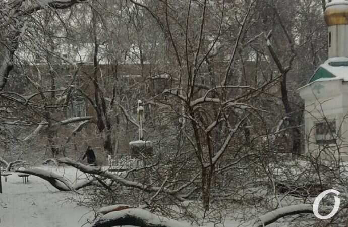 непогода, сквер