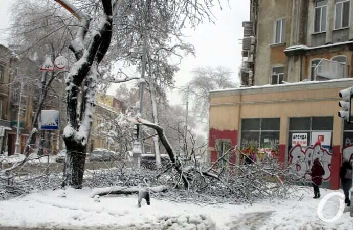 снег в Одессе, веткопад