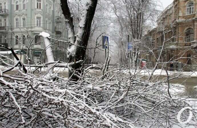 снег в Одессе, упавшие ветки
