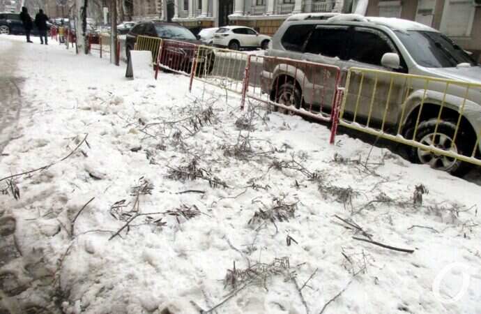 снег в Одессе, веточки