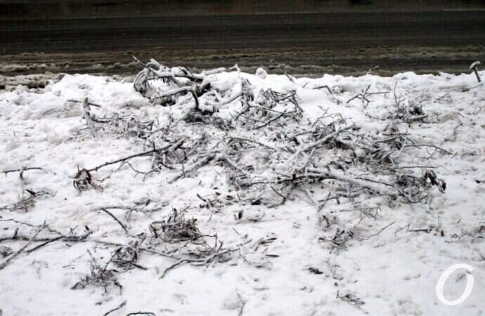 снег в Одессе, следы веткопада