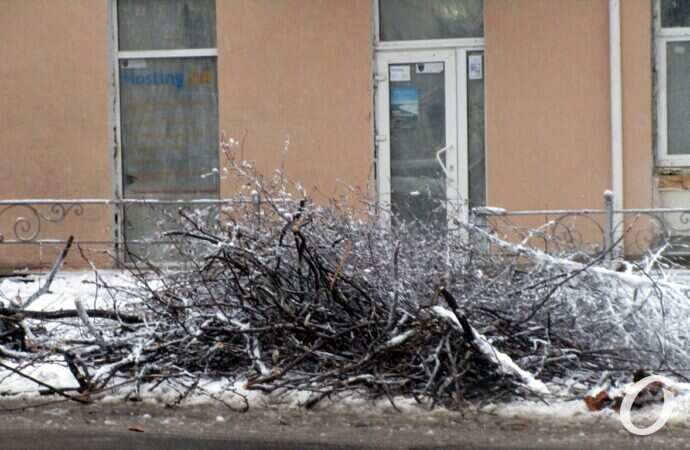 снег в Одессе, куча веток