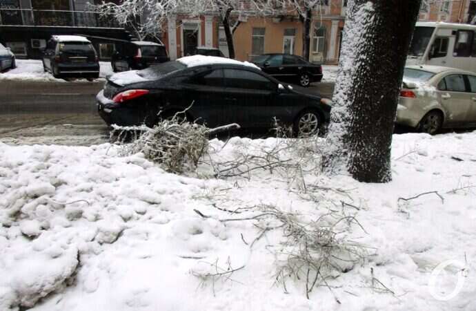 январь в Одессе