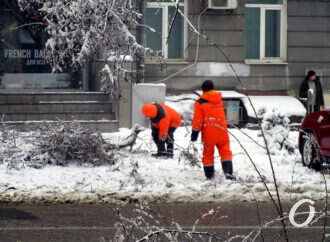 Снегопад по-одесски: россыпи веток и люди с лопатами (фоторепортаж)