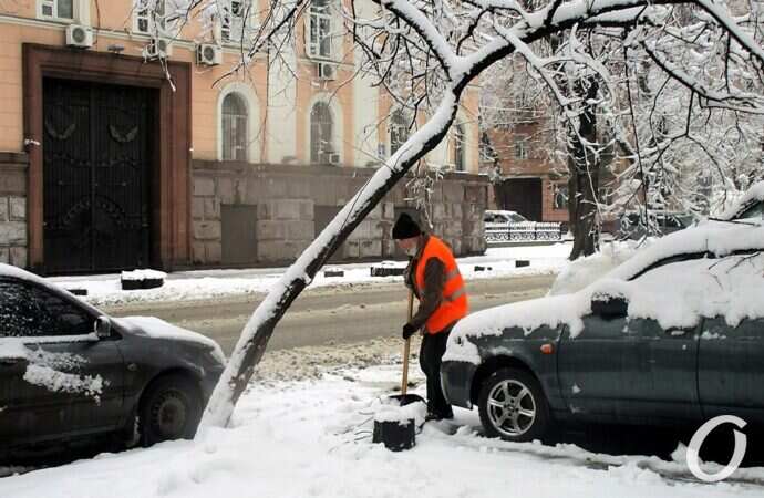 снег в Одессе, дерево