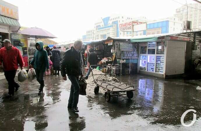 Привоз зимой, тележка