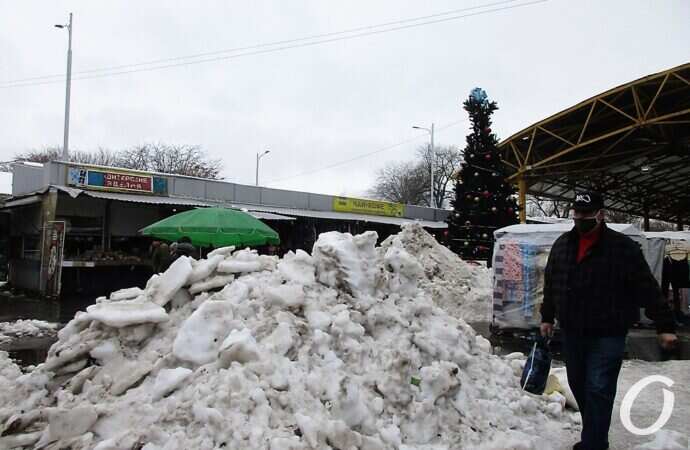 Привоз зимой, елка