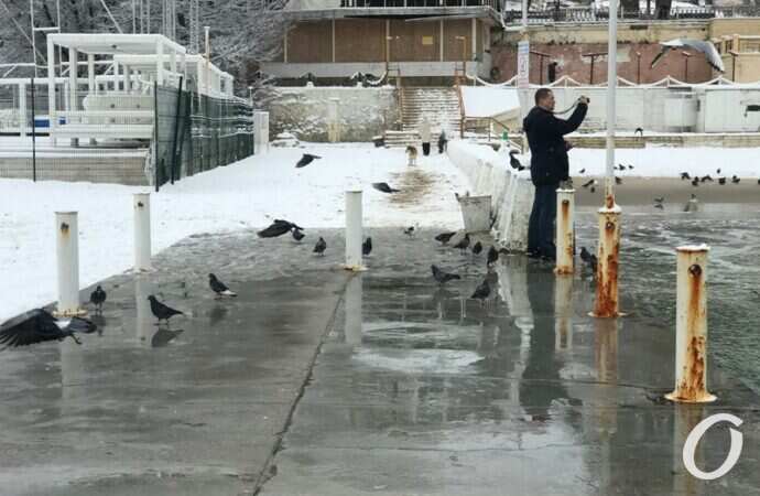 Аркадия в снегу, фото