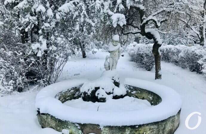 Аркадия в снегу, клумба
