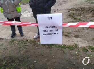 Елки в обмен на конфеты: где в Одессе будут принимать отслужившие свое новогодние деревья