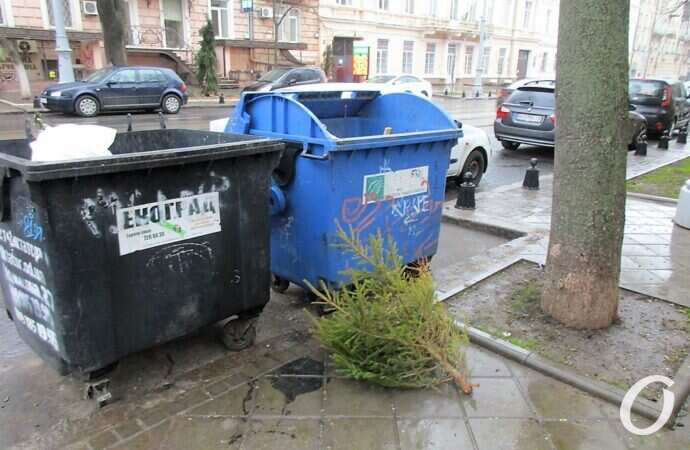 В Одессе уже стали появляться елки у мусорных контейнеров (фотофакт)