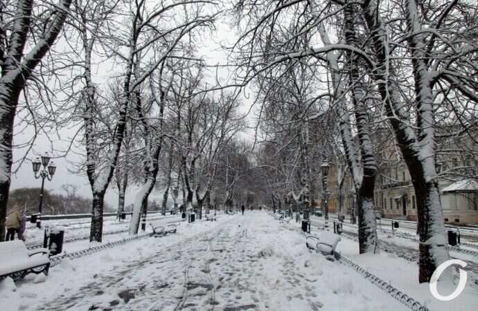 зима в центре Одессы, бульвар