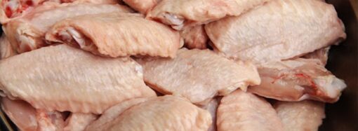 На прилавки одесских магазинов может попасть курятина с сальмонеллой