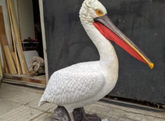 Сберечь пеликанов: в дельте Дуная хотят поставить «манекены» для привлечения редких птиц