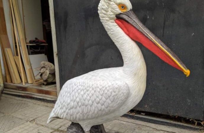 Сберечь пеликанов: в дельте Дуная хотят поставить «манекены» для привлечения редких птиц
