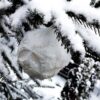 Юг Одесской области засыпало снегом (фото, видео)