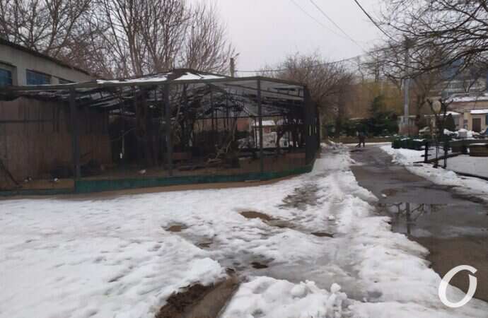 Одесский зоопарк зимой, вольеры