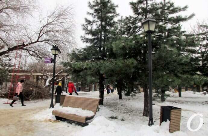 Старосенная площадь, скамейка