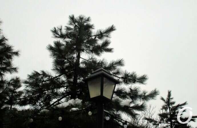 Старосенная площадь, фонарь