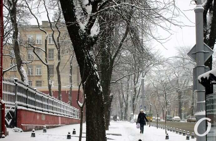 Улица Софиевская, прохожий