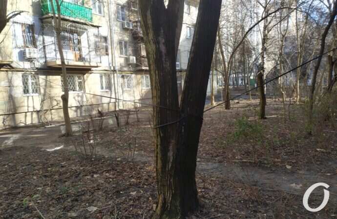 Провода, у дома