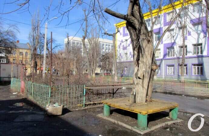 Высокий переулок, дерево