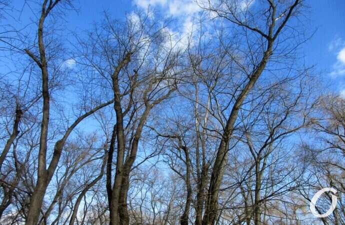 Старосенной сквер, небо