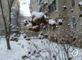 Третий пошел: Одессу снова засыпает снегом (видео)