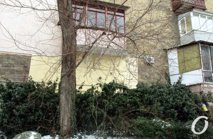 Дом с орлом-гигантом, балконы